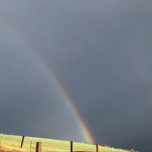 Meet your Posher, Laurinda